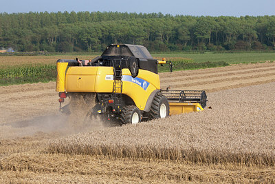 BUITEN BEELD Foto: 247526