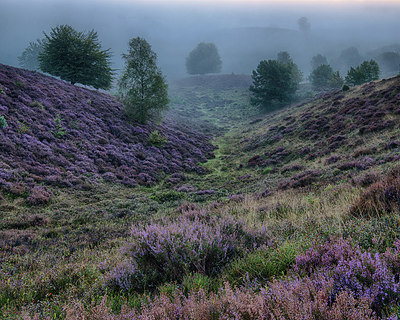 BUITEN BEELD Foto: 247542