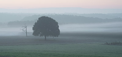 BUITEN BEELD Foto: 247544