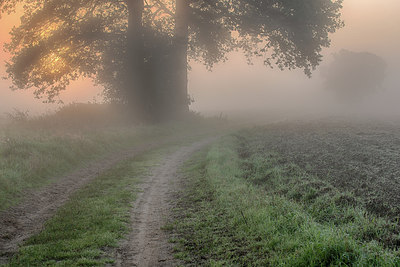 BUITEN BEELD Foto: 247546