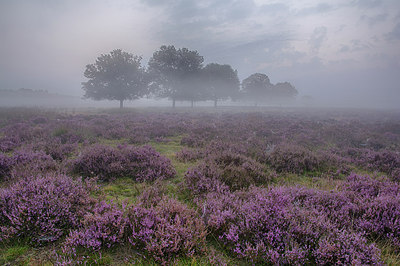 BUITEN BEELD Foto: 247548