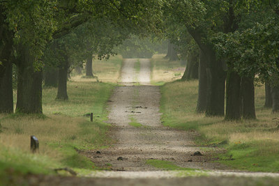 BUITEN BEELD Foto: 247551