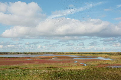 BUITEN BEELD Foto: 247552