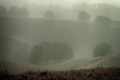 BUITEN BEELD Foto: 247572