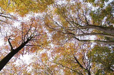 BUITEN BEELD Foto: 247766