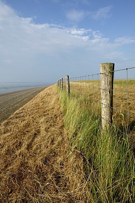 BUITEN BEELD Foto: 247930