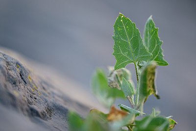 BUITEN BEELD Foto: 247959