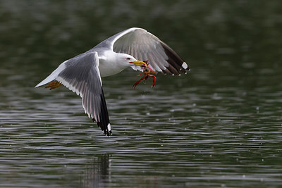 BUITEN BEELD Foto: 247996