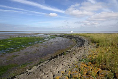 BUITEN BEELD Foto: 248017