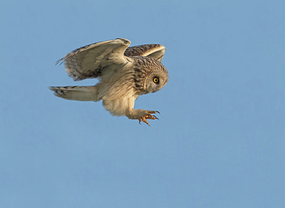 BUITEN BEELD Foto: 248067