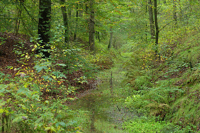 BUITEN BEELD Foto: 248078