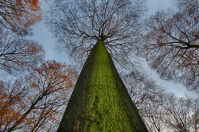 BUITEN BEELD Foto: 248095