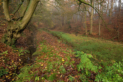 BUITEN BEELD Foto: 248099