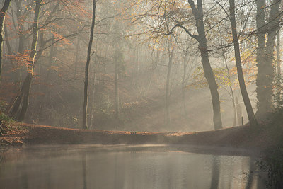 BUITEN BEELD Foto: 248101
