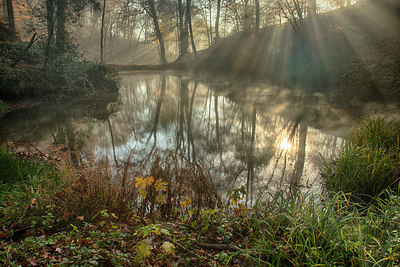 BUITEN BEELD Foto: 248103