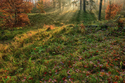 BUITEN BEELD Foto: 248104