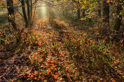 BUITEN BEELD Foto: 248105