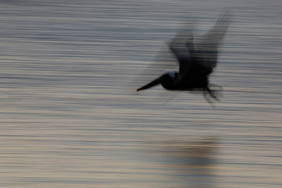 BUITEN BEELD Foto: 248134