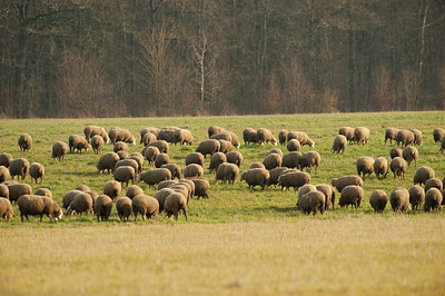 BUITEN BEELD Foto: 248166