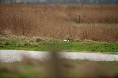 BUITEN BEELD Foto: 248185