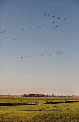 BUITEN BEELD Foto: 248227