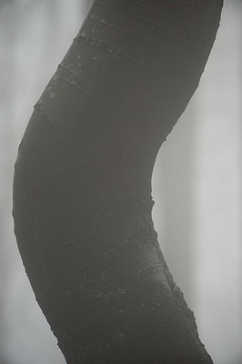 BUITEN BEELD Foto: 248301
