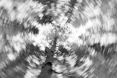 BUITEN BEELD Foto: 248332