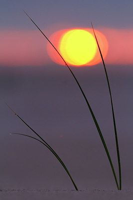 BUITEN BEELD Foto: 248369