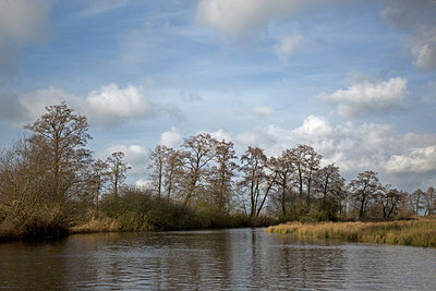 BUITEN BEELD Foto: 248422