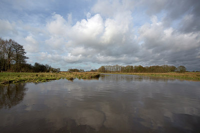 BUITEN BEELD Foto: 248424
