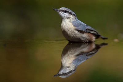 BUITEN BEELD Foto: 248444