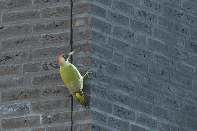 BUITEN BEELD Foto: 248461