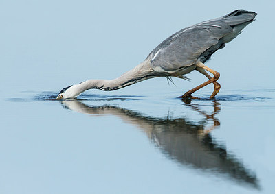 BUITEN BEELD Foto: 248484