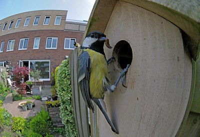 BUITEN BEELD Foto: 248499