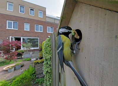 BUITEN BEELD Foto: 248500