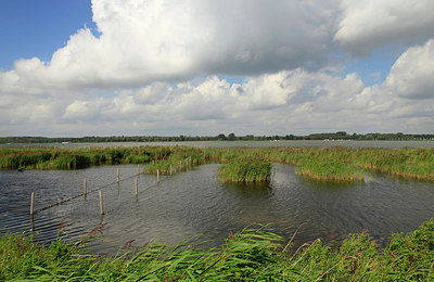BUITEN BEELD Foto: 248522