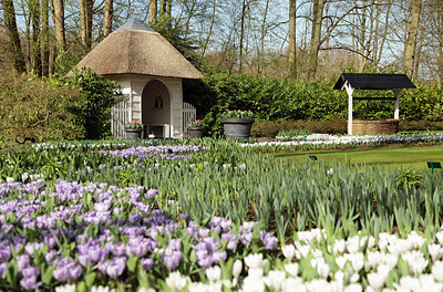 BUITEN BEELD Foto: 248526