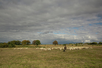 BUITEN BEELD Foto: 248627