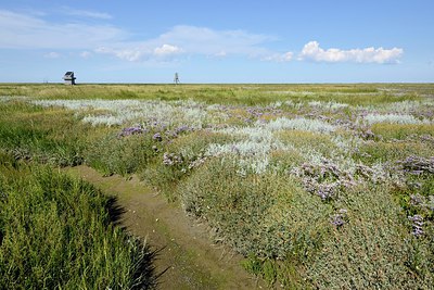 BUITEN BEELD Foto: 248638