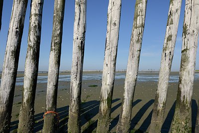 BUITEN BEELD Foto: 248641