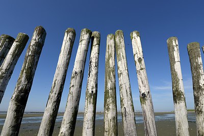 BUITEN BEELD Foto: 248642