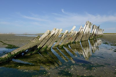 BUITEN BEELD Foto: 248643