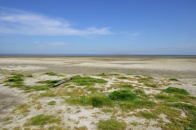 BUITEN BEELD Foto: 248742