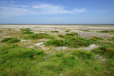 BUITEN BEELD Foto: 248743