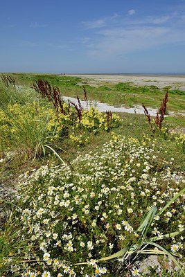 BUITEN BEELD Foto: 248744