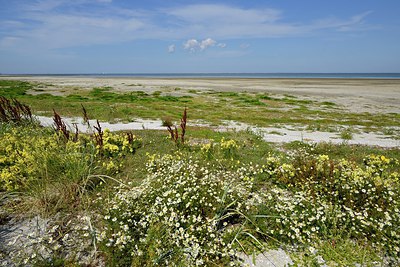 BUITEN BEELD Foto: 248745