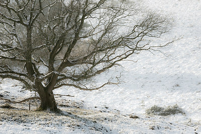 BUITEN BEELD Foto: 248750