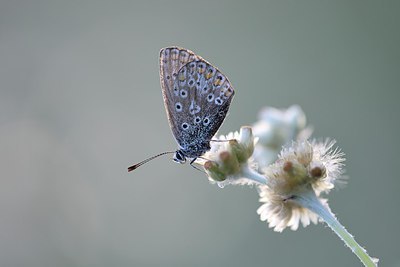 BUITEN BEELD Foto: 248784