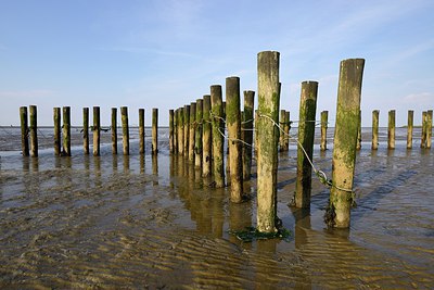 BUITEN BEELD Foto: 248790