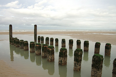 BUITEN BEELD Foto: 248856